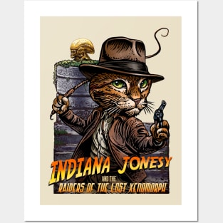 Indiana Jonesy Posters and Art